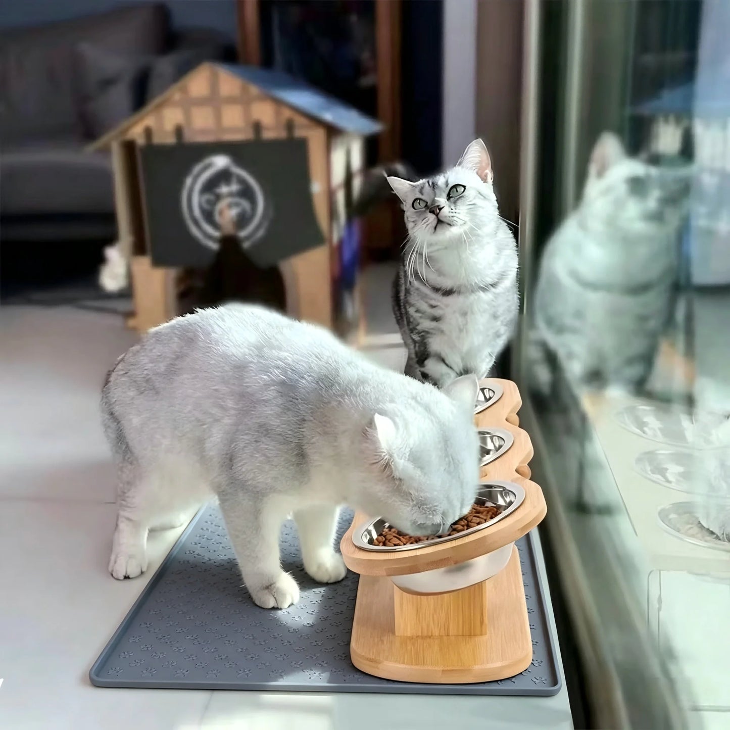 Cat Raised Feeder With Tilted Wood Stand Three Bowls
