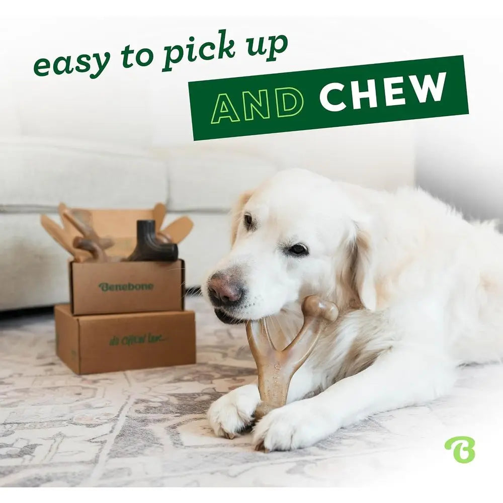 Durable Medium Dog Toys Four Pack Chew Bones Made In USA
