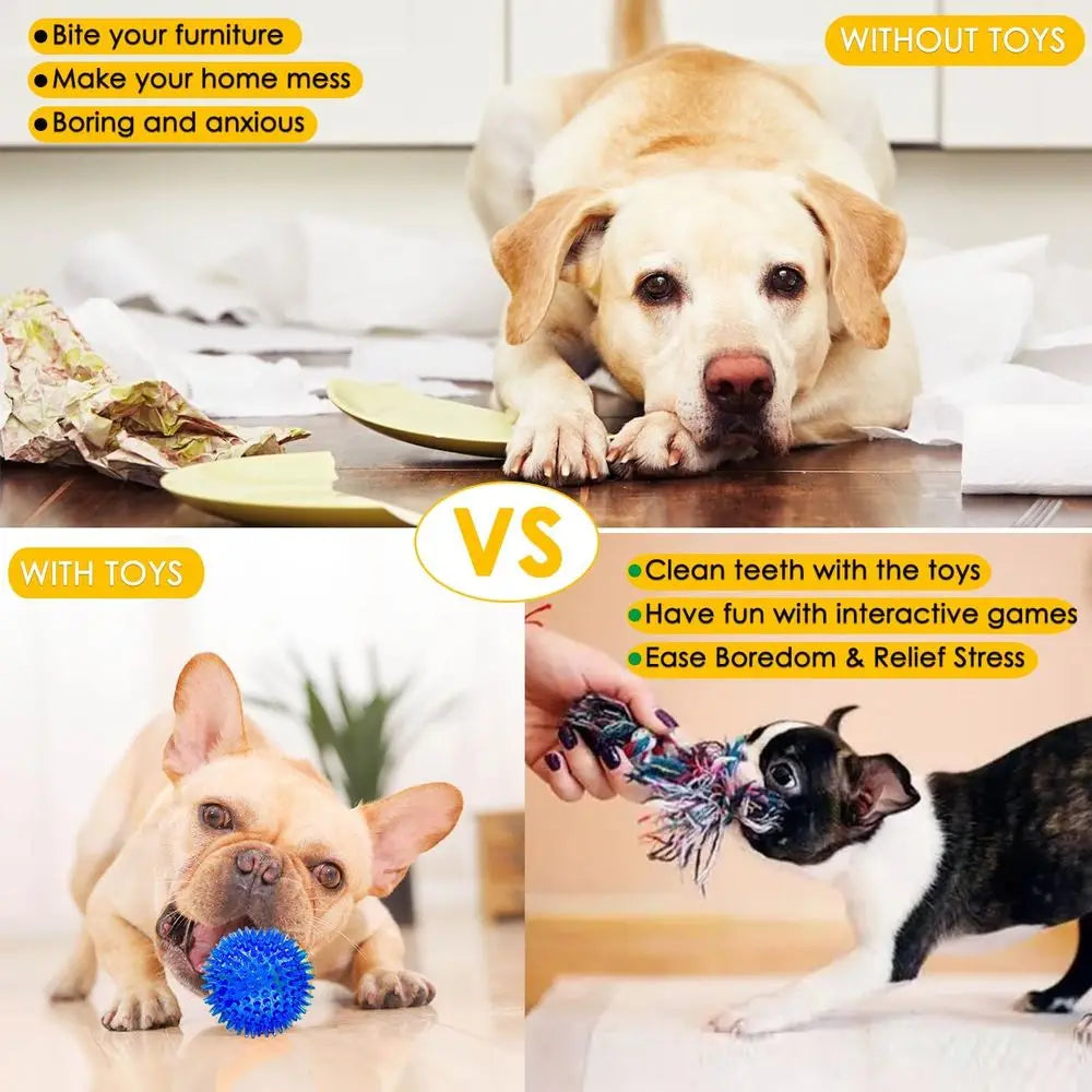 Dog Toys 25 Pack For Small Dogs Squeaky Plush Balls Rope Tug