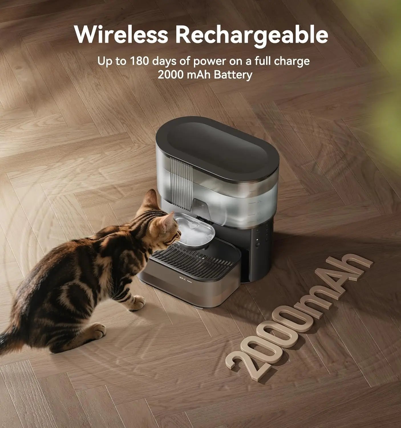 Cordless Pet Water Fountain Wastewater Separation For Cats And Dogs