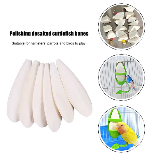 alloetCN Cuttlefish Bone For Parrots Bird Chew Toys Cuttlebone Pets Supplies