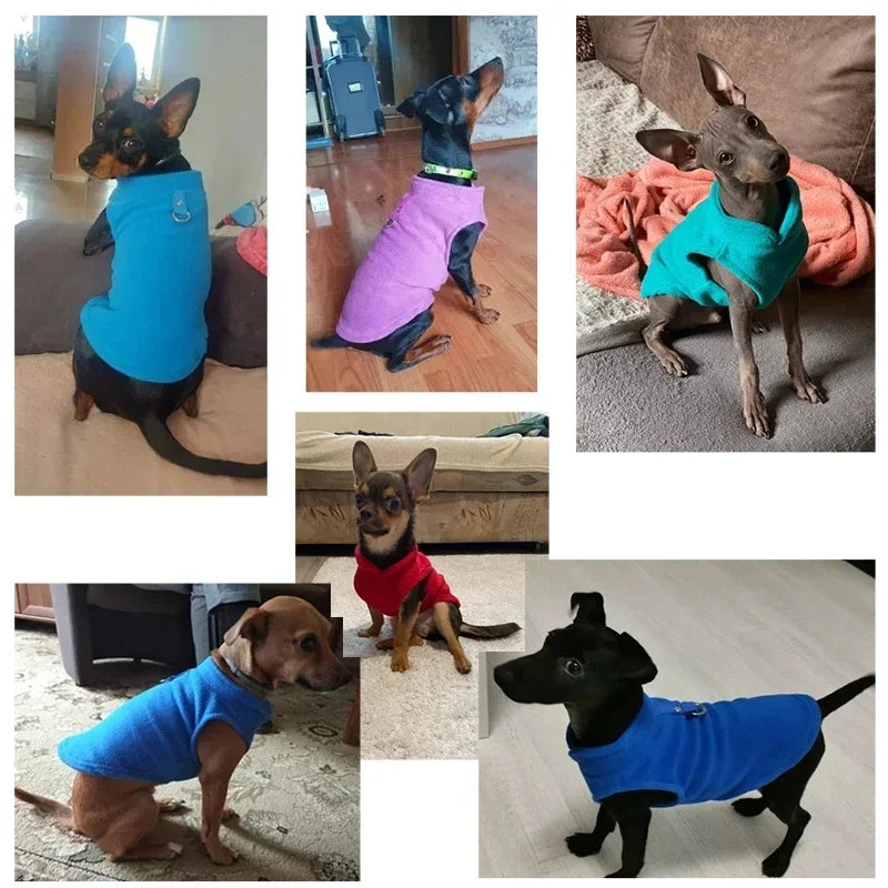 Warm Fleece Dog Coat With D-Ring For Small Dogs Cats
