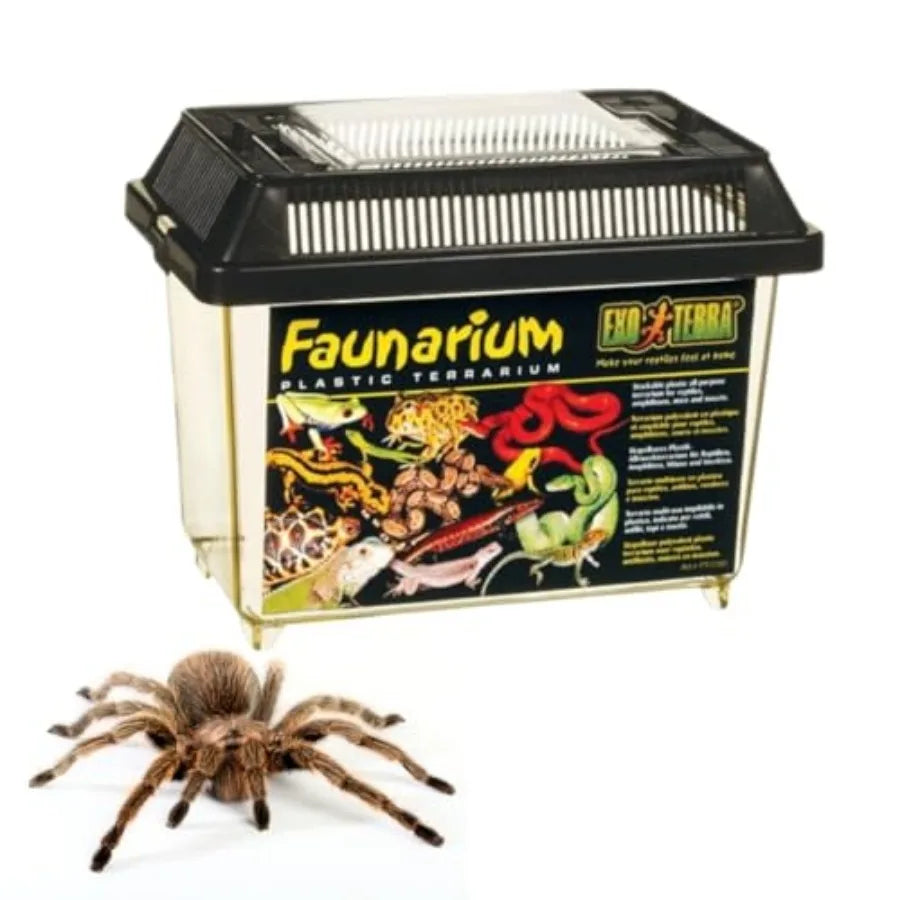 PT2255 Plastic Reptile Terrarium And Transport Container