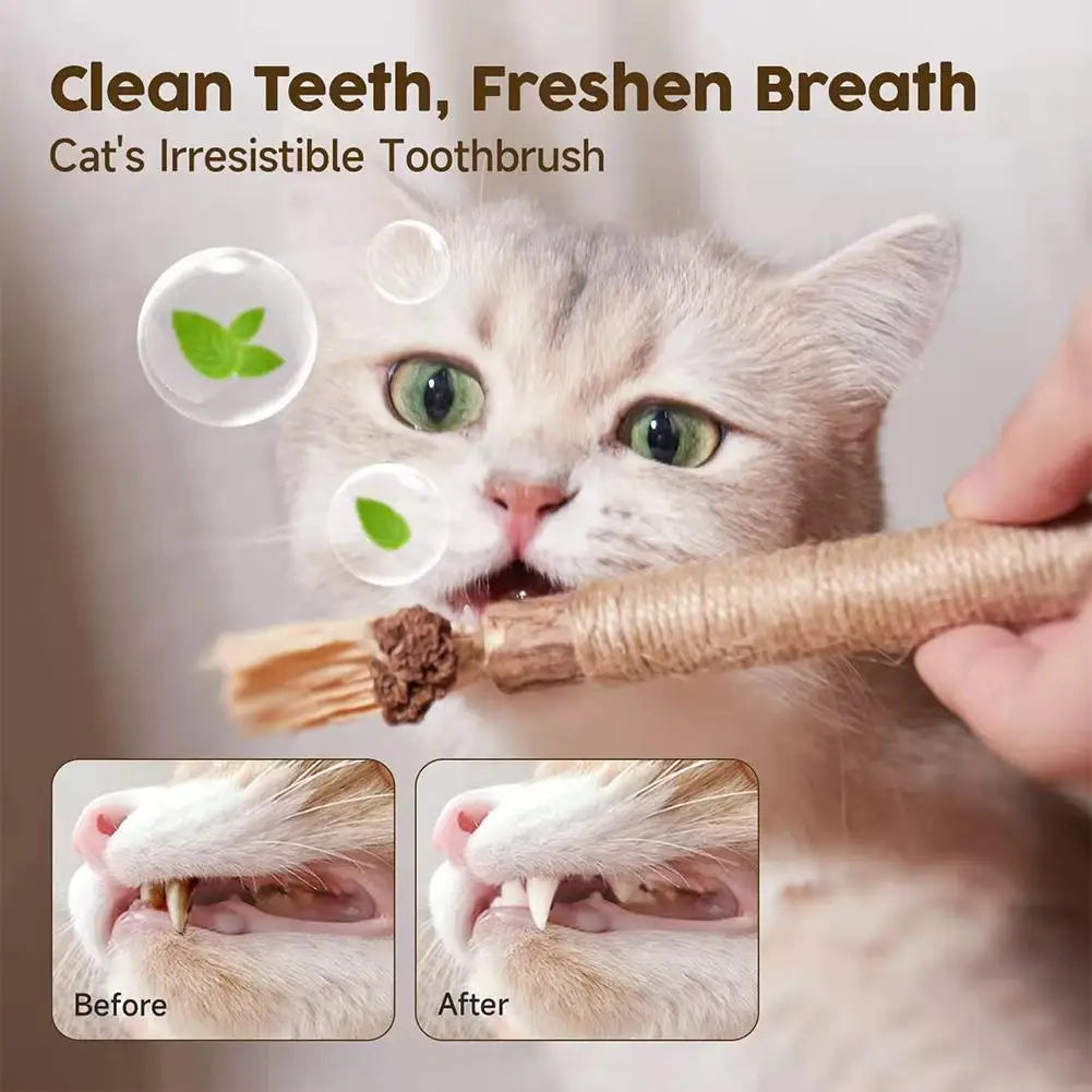 Natural Cat Chew Stick With Catnip For Teeth Cleaning