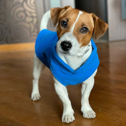 Warm Fleece Dog Coat With D-Ring For Small Dogs Cats