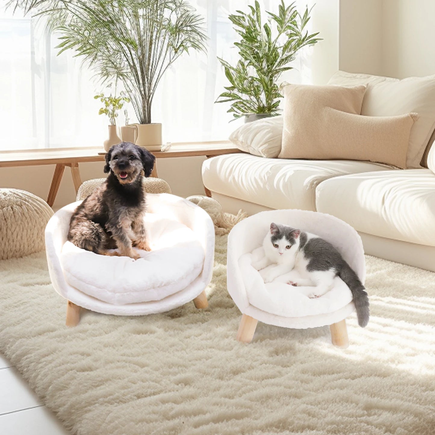 BINGOPAW Pet Sofa Bed Raised Cat Chair Removable Cushion