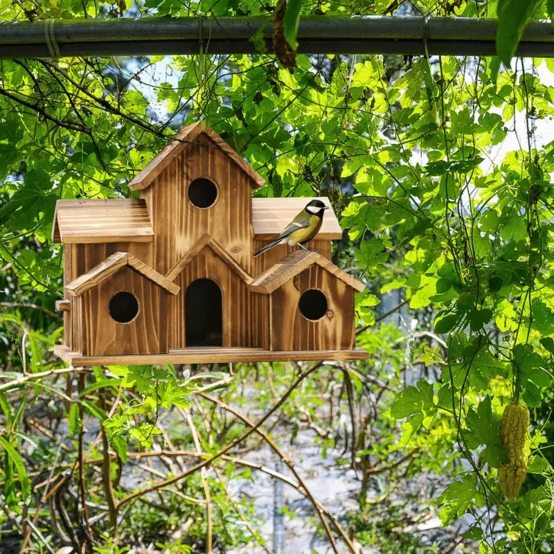 Zhejiang Bird House Natural Wood Hummingbird Cardinal