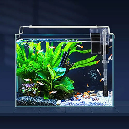 Rimless Glass Aquarium Starter Kit Ultra Clear Low Iron Tank