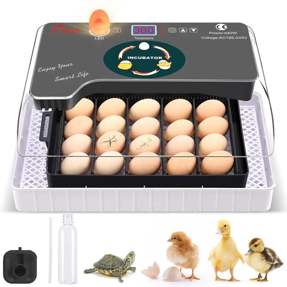 12 Egg Incubator With Automatic Turner And Temperature Control