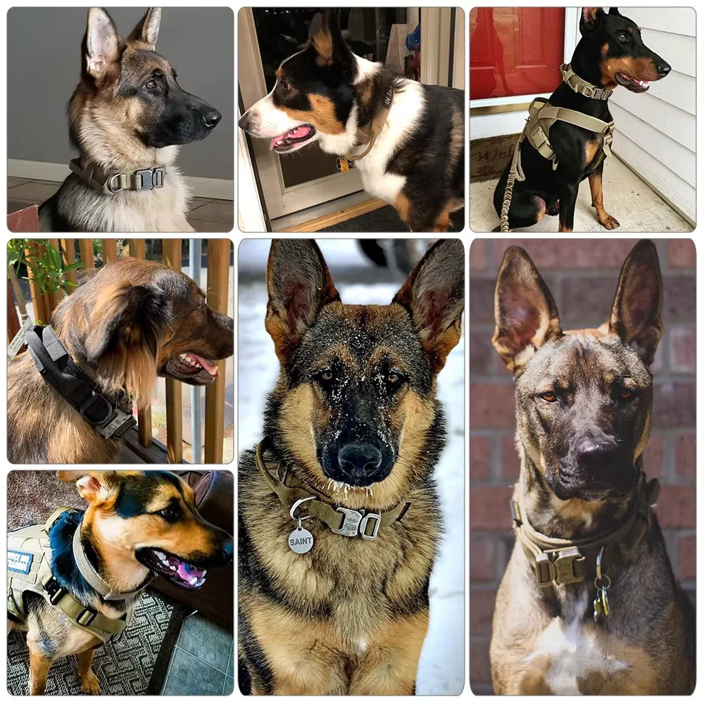 Adjustable Tactical Dog Collar And Leash Set Training Control Handle