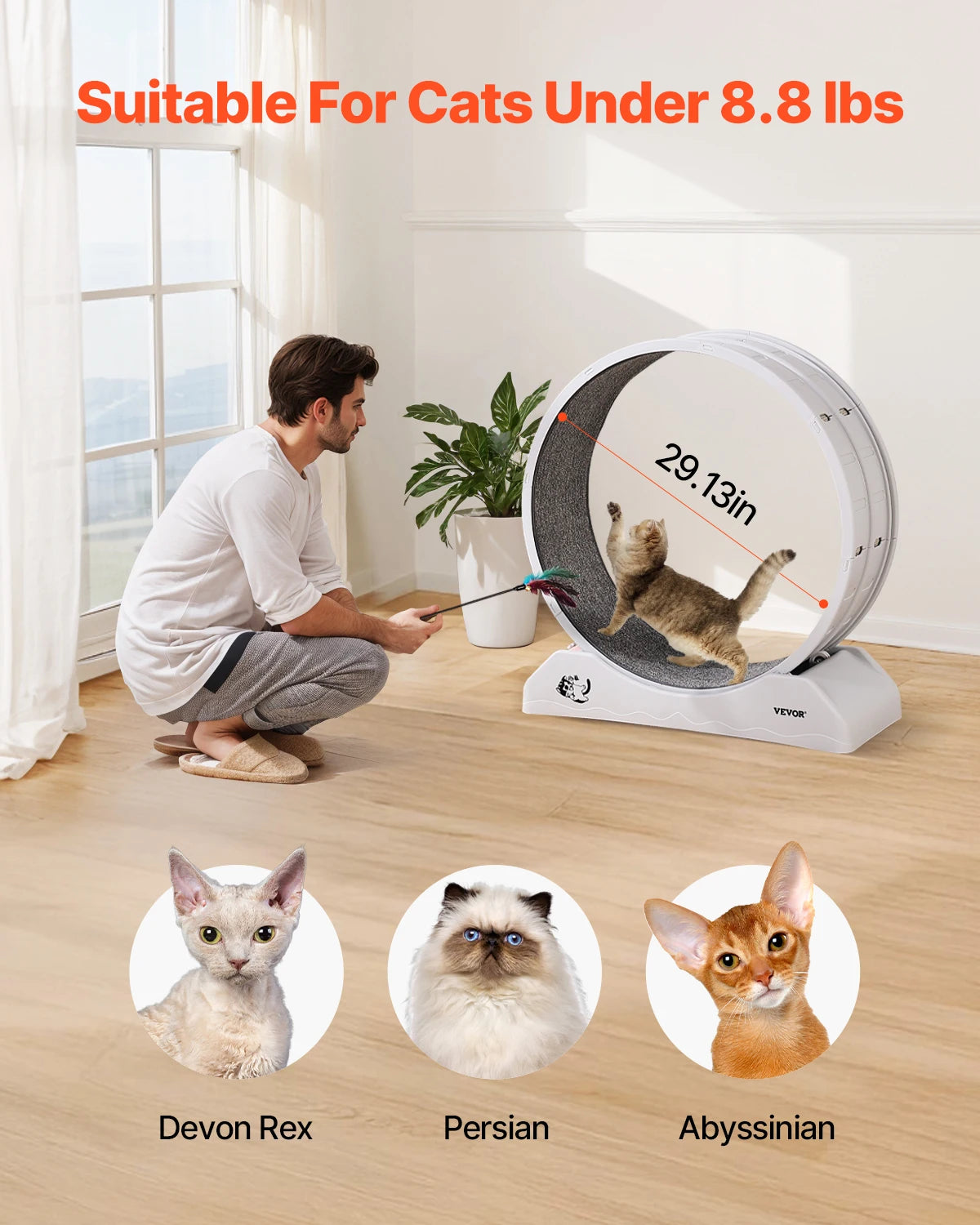 VEVOR Cat Exercise Wheel With Secure Brake And Carpeted Runway