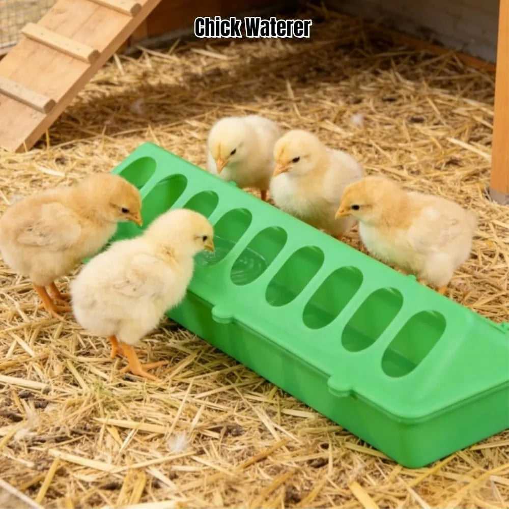 16 Hole Anti Waste Chicken Feeders 2Pack Plastic Poultry Feeders