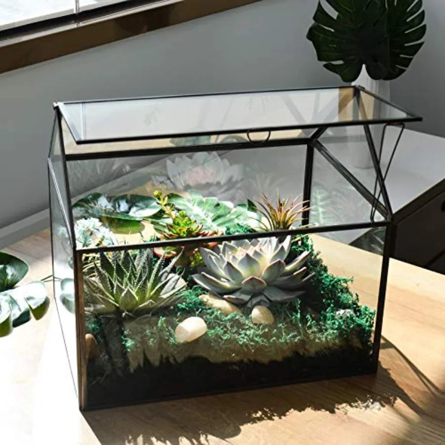 Glass Plant Terrarium For Indoor Succulents With Base