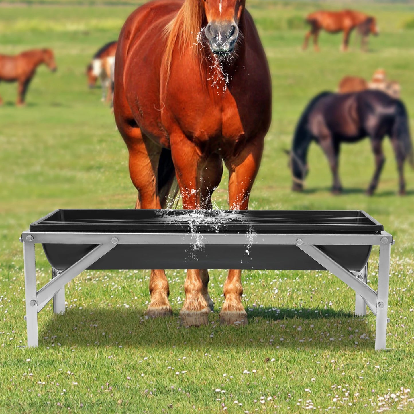 Livestock Feeder Trough For Cattle Sheep Horses Ranch Farm