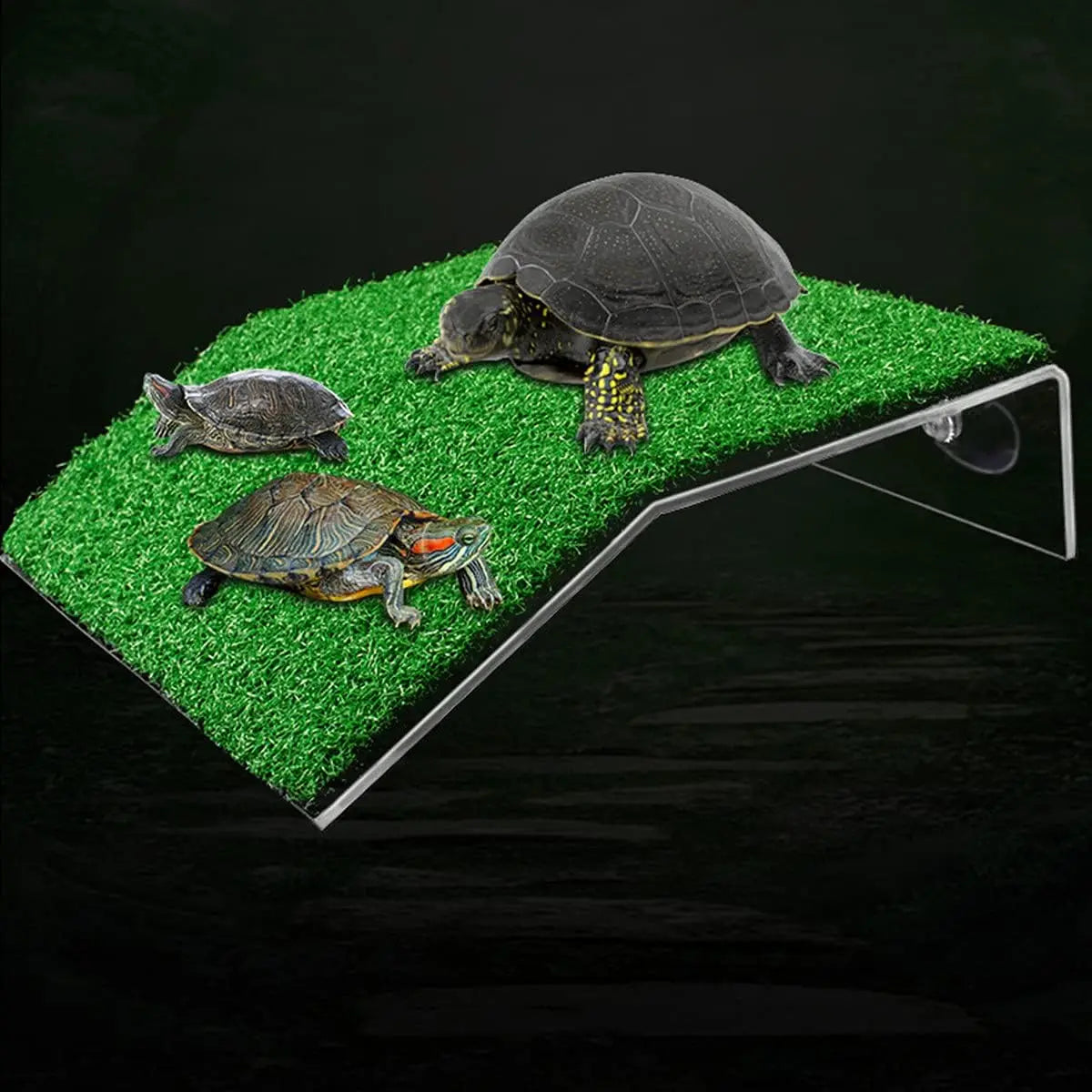 Hign-concerned Turtle Basking Platform With Lawn Grass Ramp