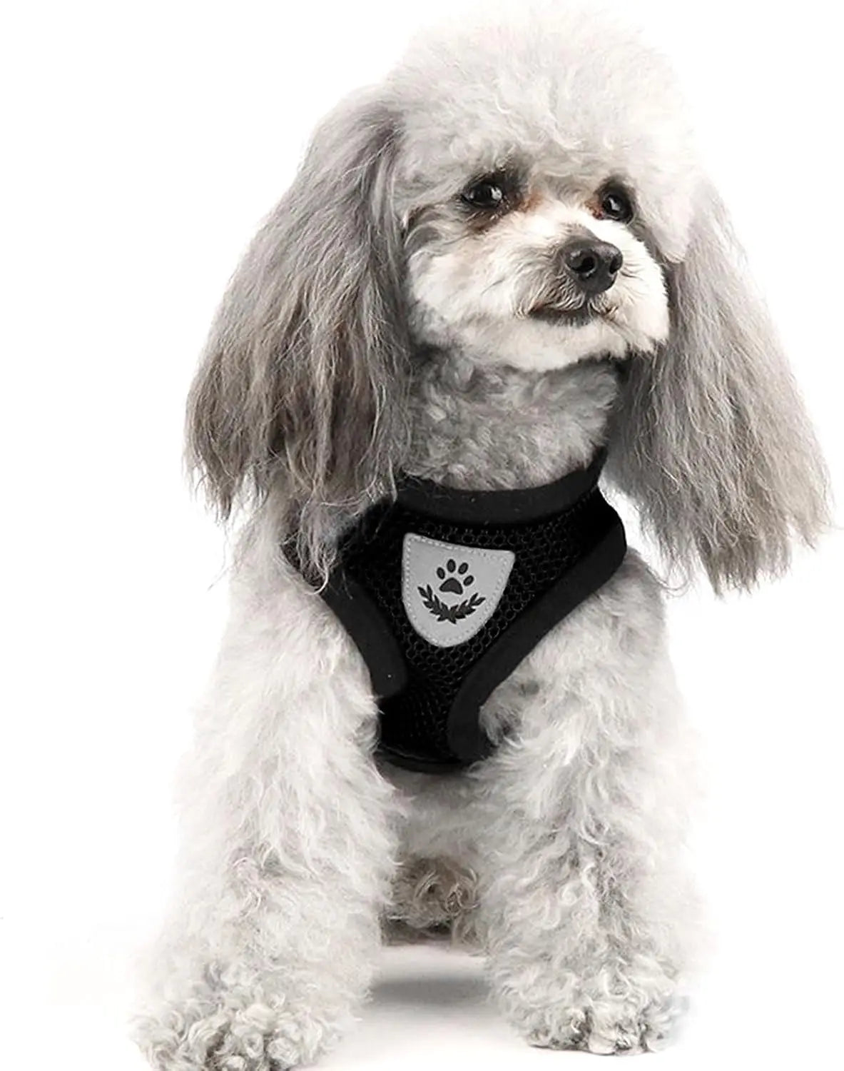 NONECN Cat Chest Harness And Leash Set Summer Mesh Anti Escape Adjustable