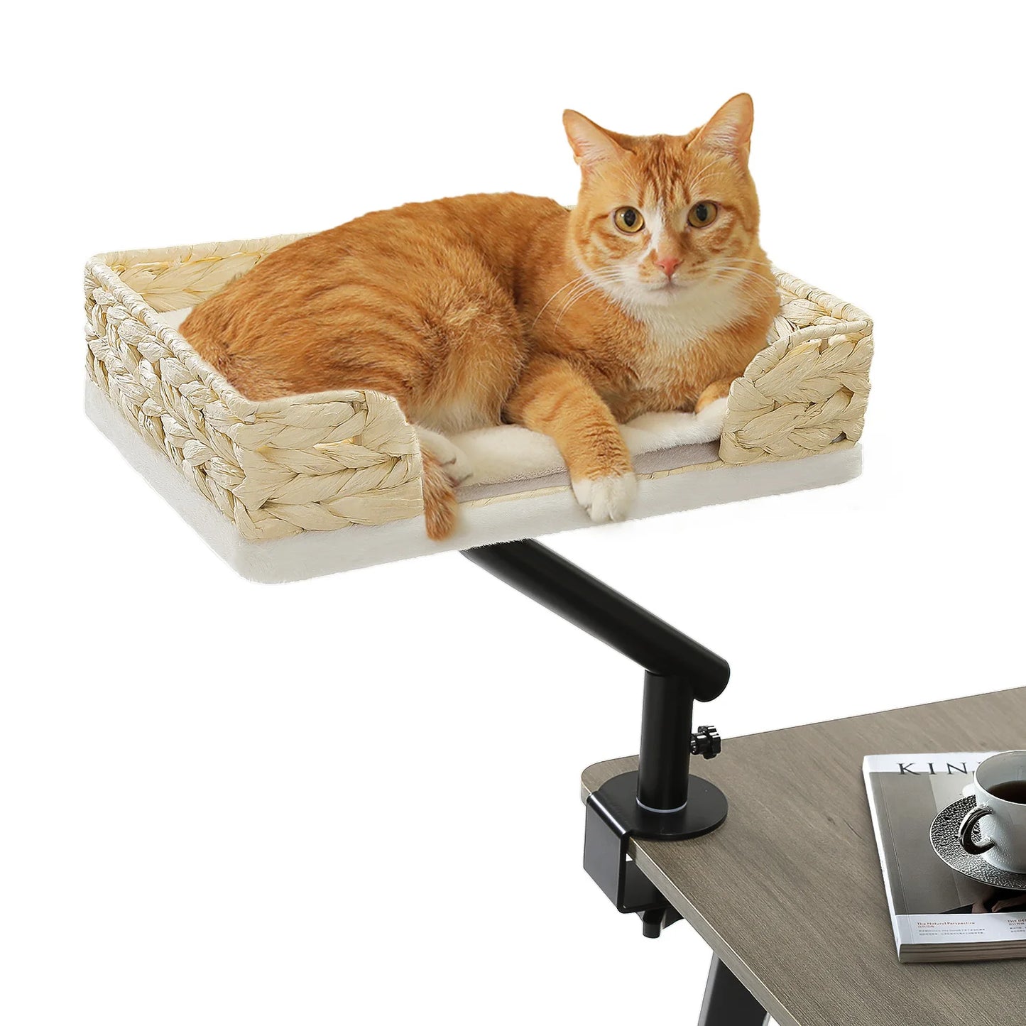 PAWZ Road Cat Desk Bed 360 Rotatable Stand for Cats