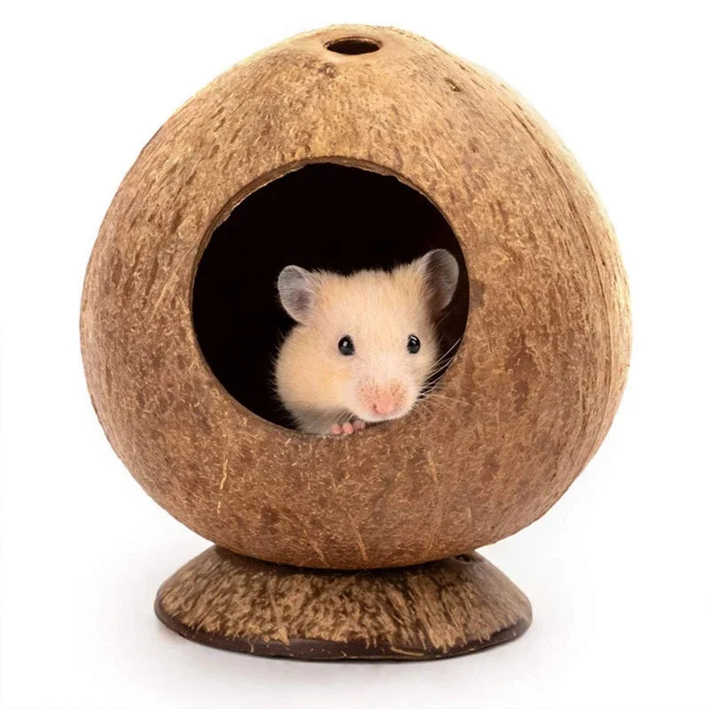 Zhejiang Hamster House Bite Resistant Natural Wooden Hideout