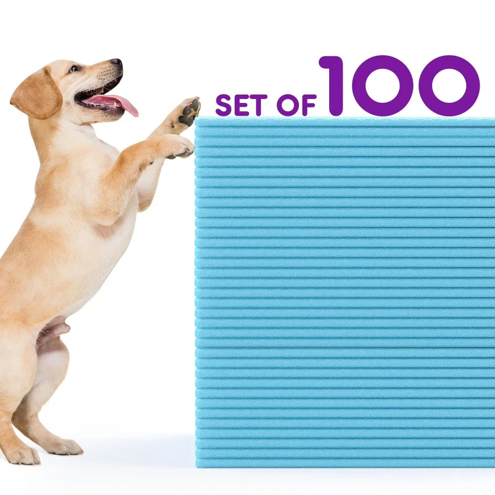 Disposable Puppy Training Pads Super Absorbent Leak Proof 100 Count