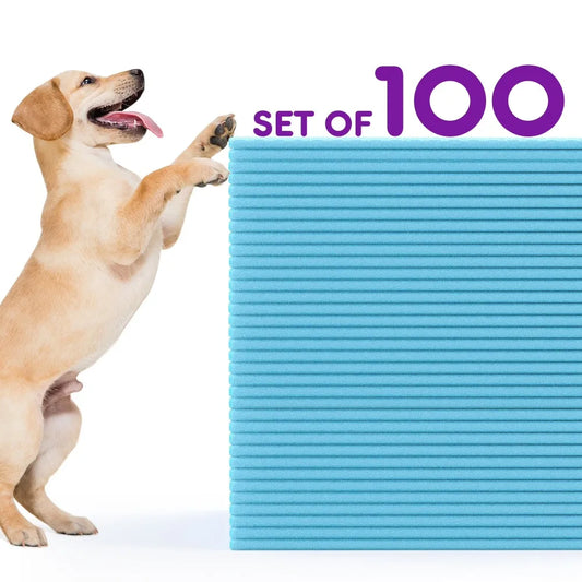 Disposable Puppy Training Pads Super Absorbent Leak Proof 100 Count