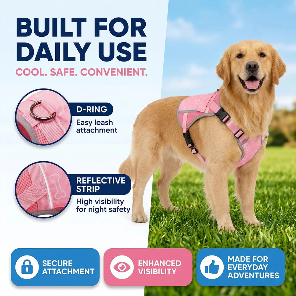 Lightweight Cooling Vest For Dogs With Replaceable Packs Outdoors