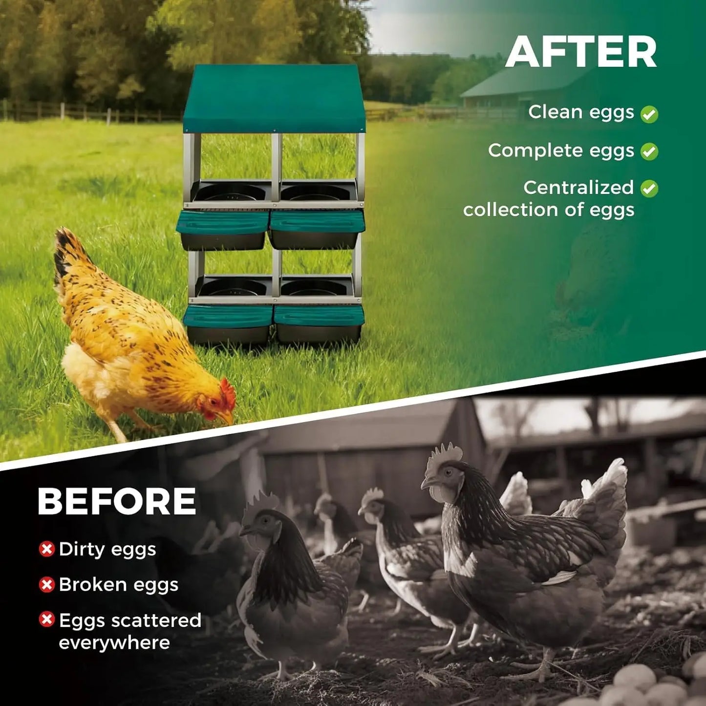 Twister CK Rollout Egg Collection Nesting Box Perch Wall Mount