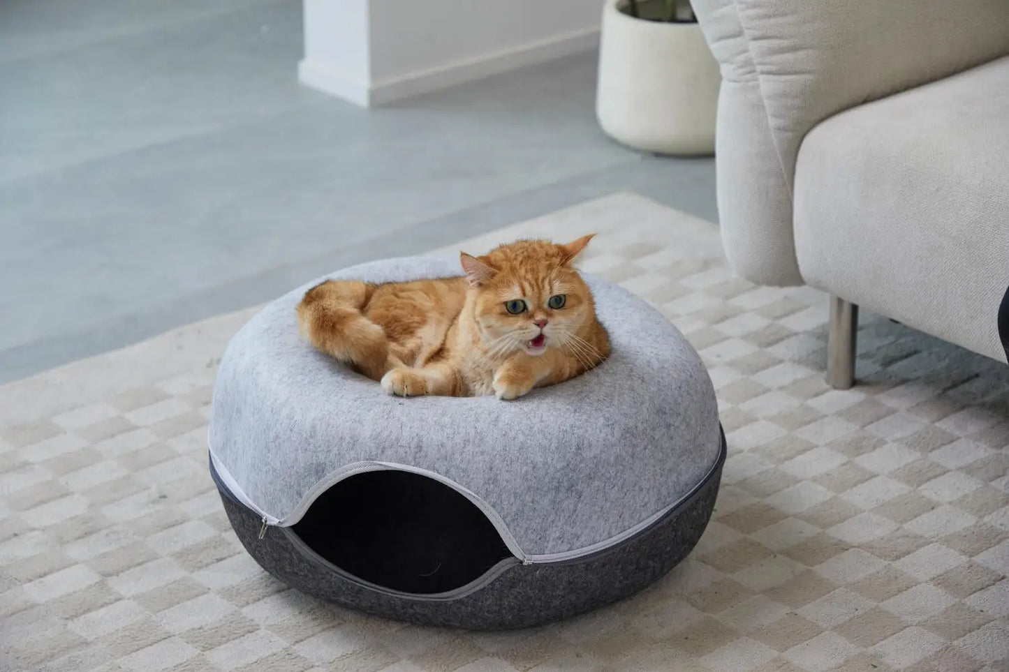 Is Smart Device Hexagon Cat Tunnel Bed For Multiple Cats Scratch Resistant Washable Felt