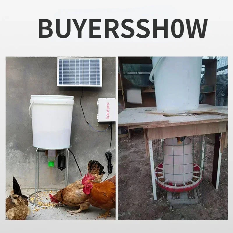 Automatic Poultry Feeder For Chicken Duck Pigeon With Timed Dispense