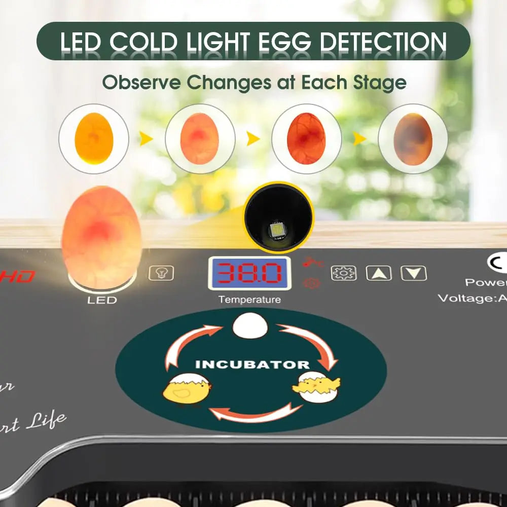 12 Egg Incubator With Automatic Turner And Temperature Control