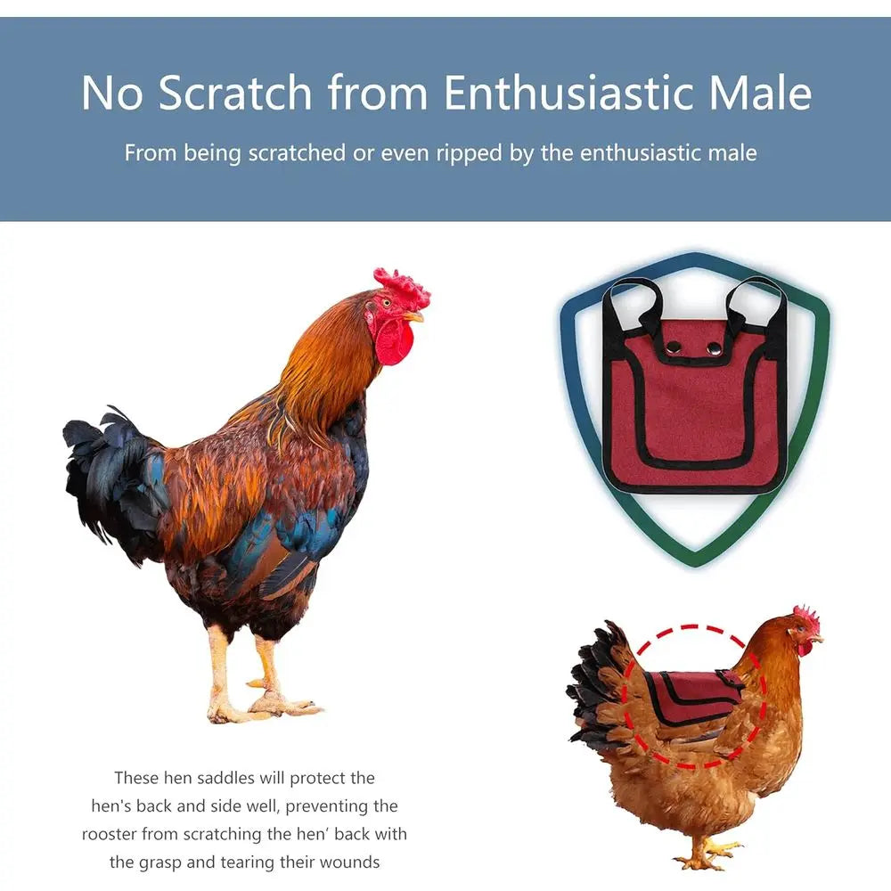 Three Piece Chicken Suit Set With Stretchy Straps Hen Protector
