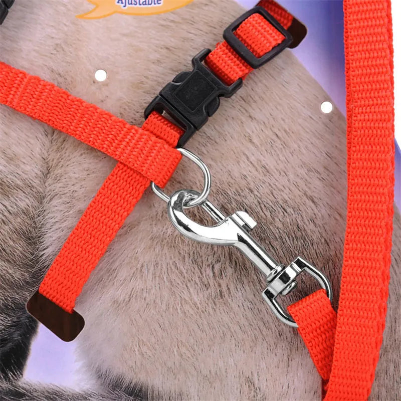 Adjustable Cat Collar Harness Leash Set Nylon For Cats