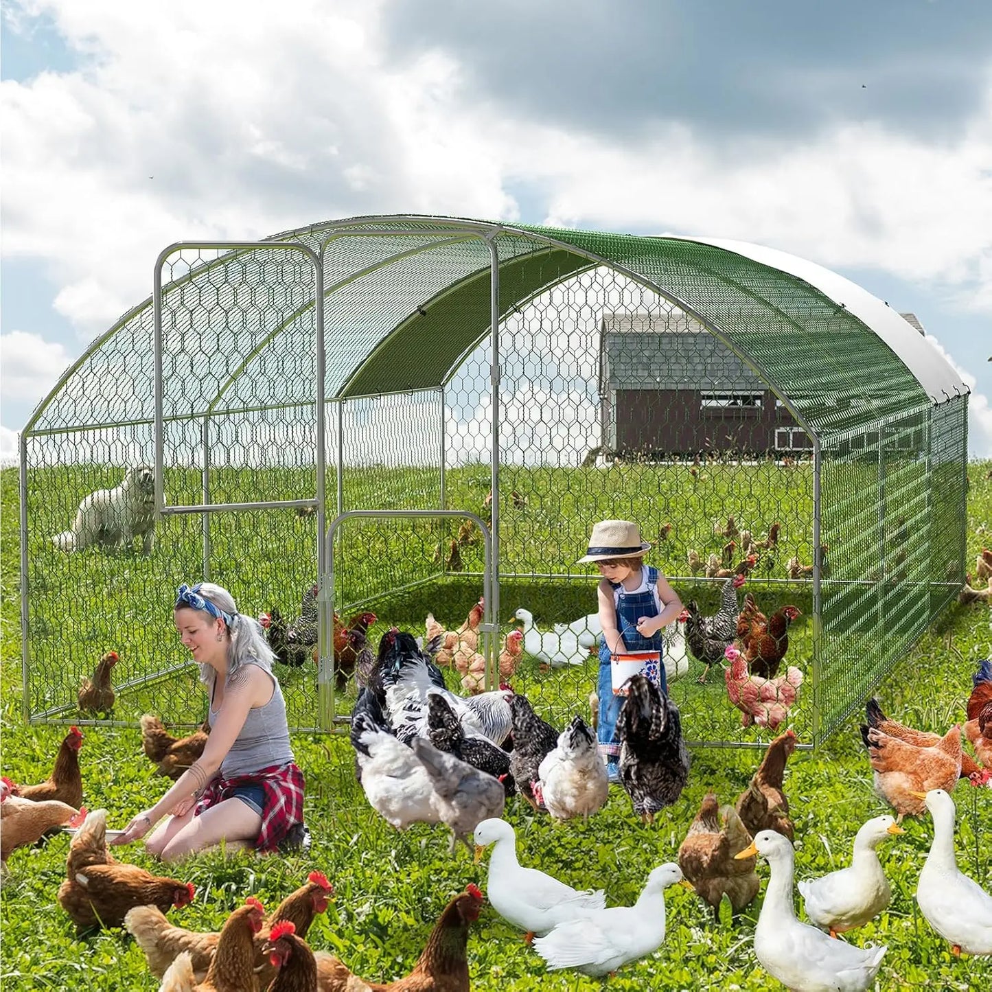 HiMISS Dome Walk In Chicken Coop With Anti UV Cover