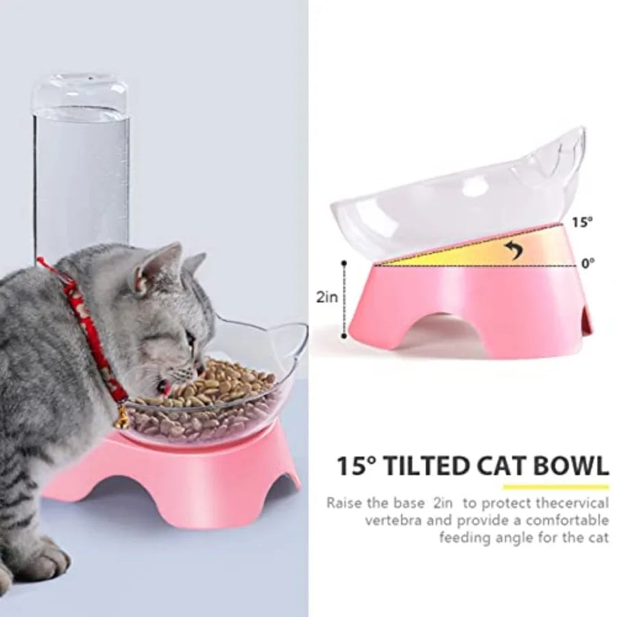Double Dog Cat Bowls Pet Water and Food Tilted Set