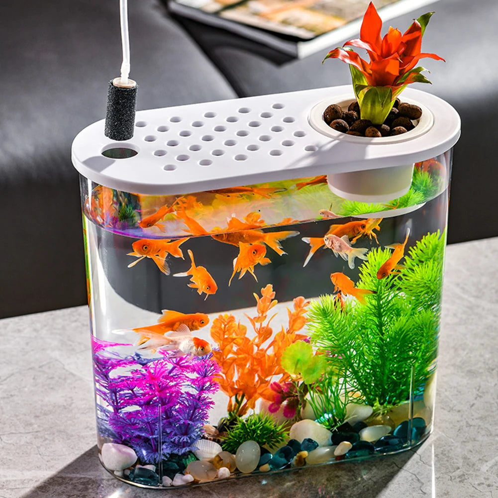 Alloet Plastic Clear Desktop Fish Bowl for Aquaponics and Hydroponics