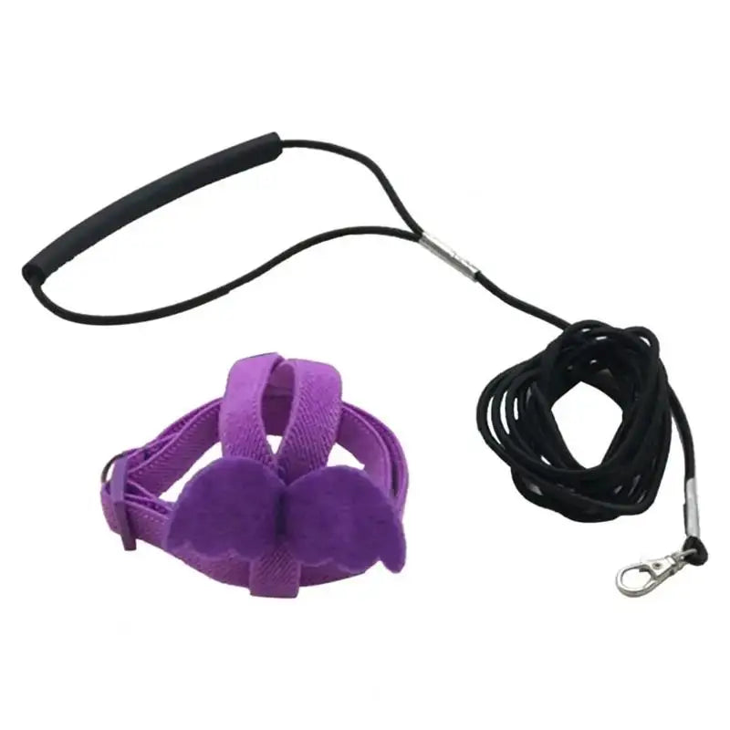 NONECN Parrot Harness Leash Set For Cockatiels Outdoor Flying