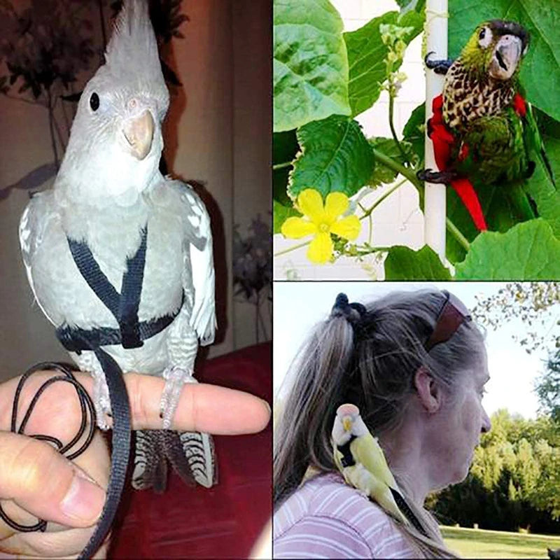 Training Flying Traction Rope Bird Leash Parrot Harness
