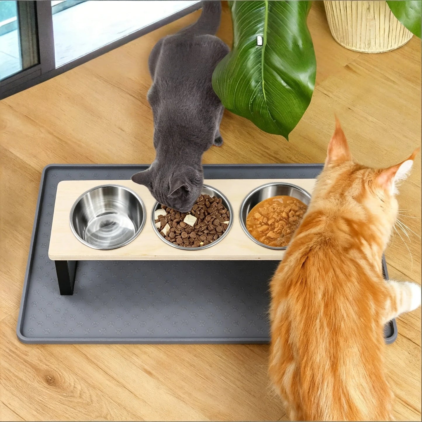 Elevated Cat Feeder With Tilted 15 Degree Stand And Stainless Steel Bowls