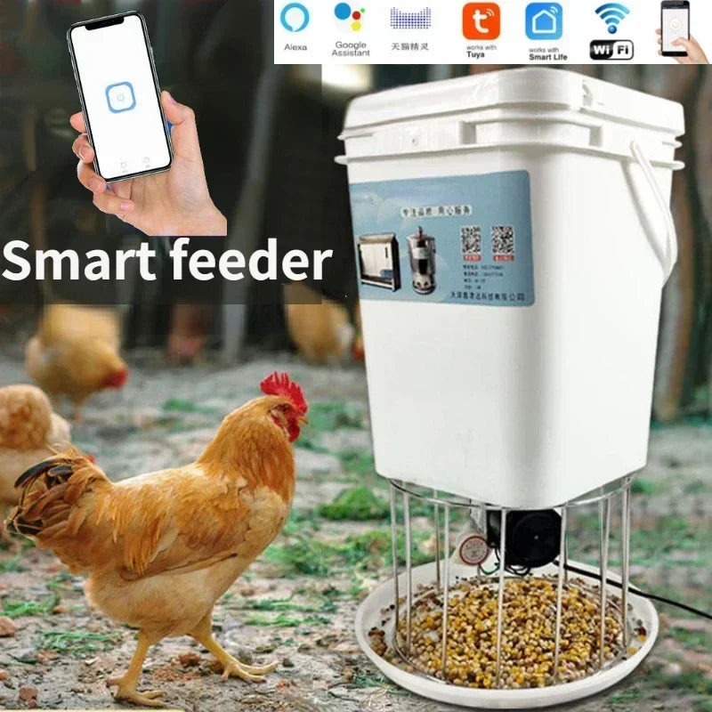 Automatic Poultry Feeder For Chicken Duck Pigeon With Timed Dispense