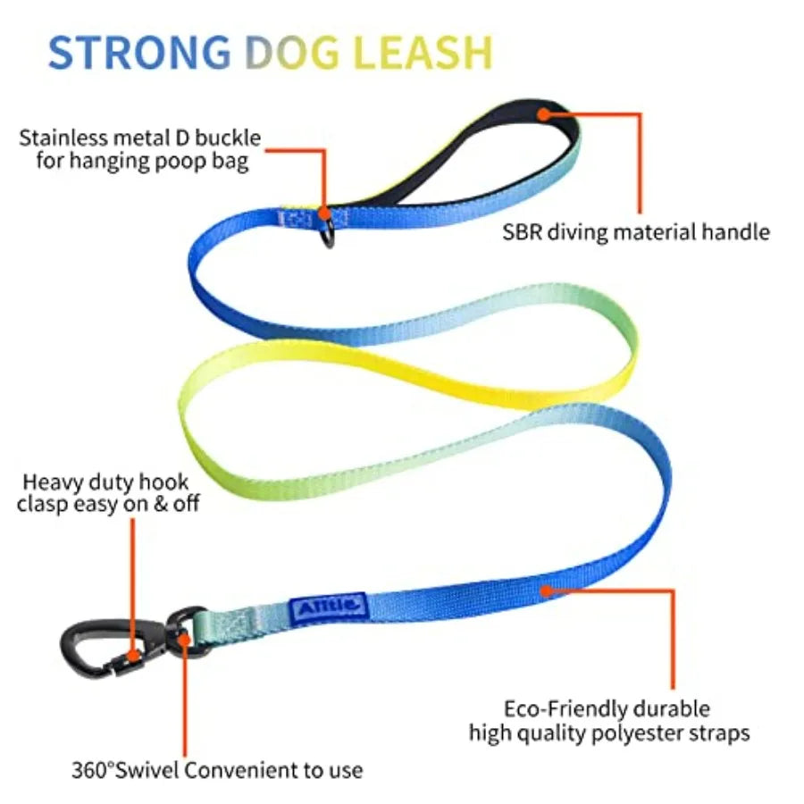 No Pull Dog Harness And Leash Set With Adjustable Collar