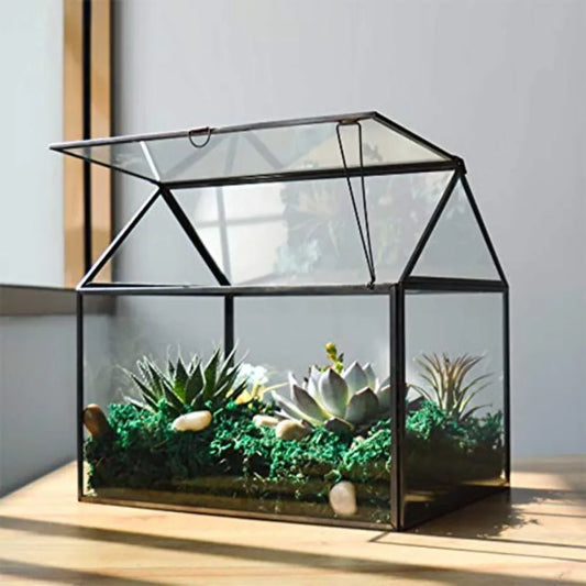 Glass Plant Terrarium For Indoor Succulents With Base