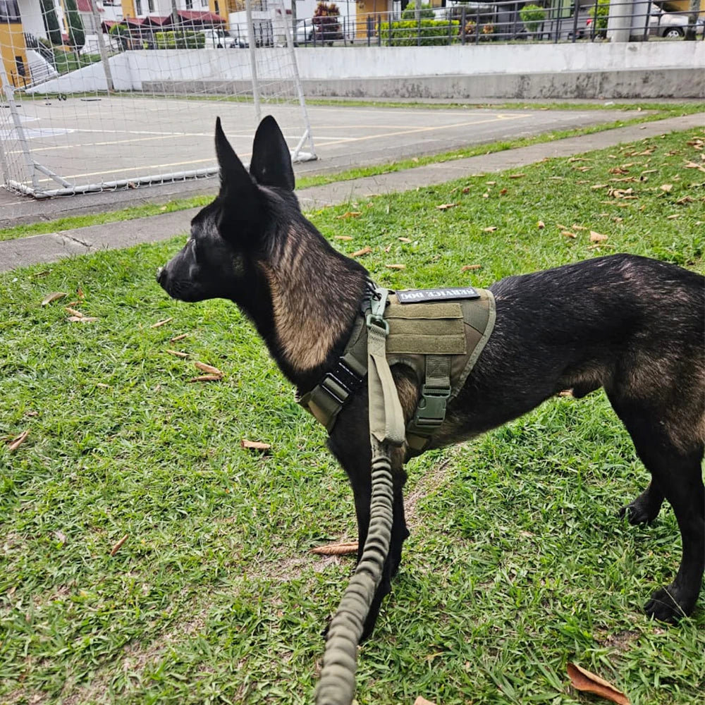 Military Tactical Dog Harness And Leash Set For Large Malinois No Pull