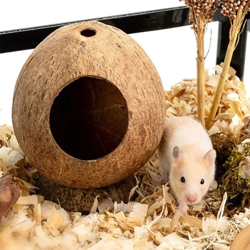 Zhejiang Hamster House Bite Resistant Natural Wooden Hideout