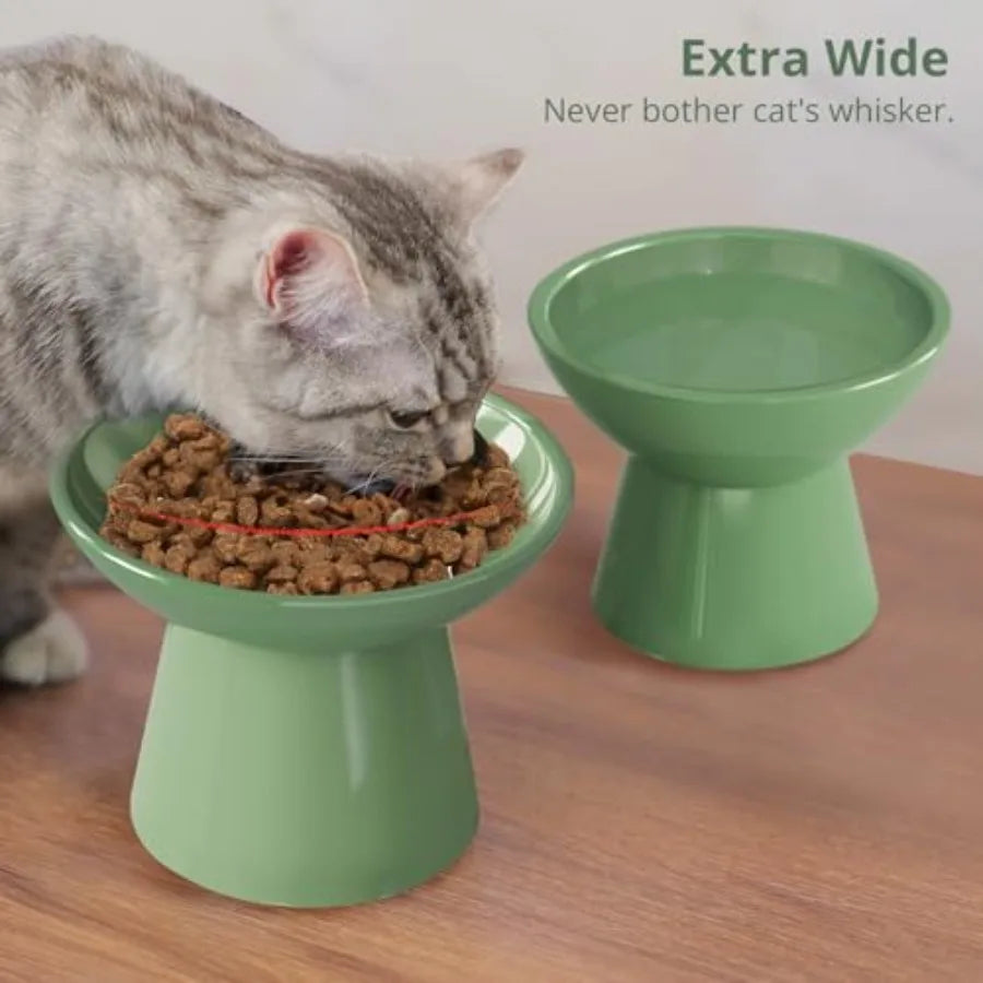 Elevated Cat Bowls Set Of 2 Indoor Cat Whisker Fatigue