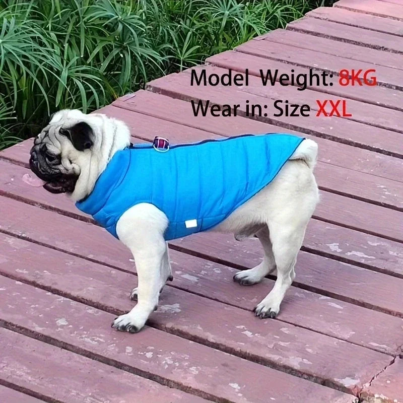 Winter Warm Pet Coat For Small Dogs And Cats Padded Windproof Jacket