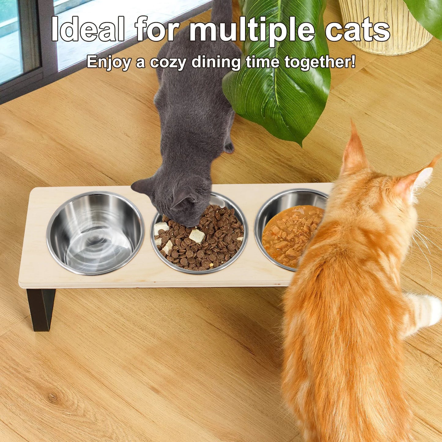 PETRAVEL Tilted Raised Cat Bowls With Stainless Steel Stand