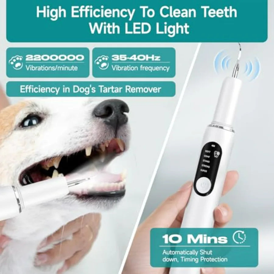 Dog Teeth Cleaning Kit With LED Light Electric Toothbrush