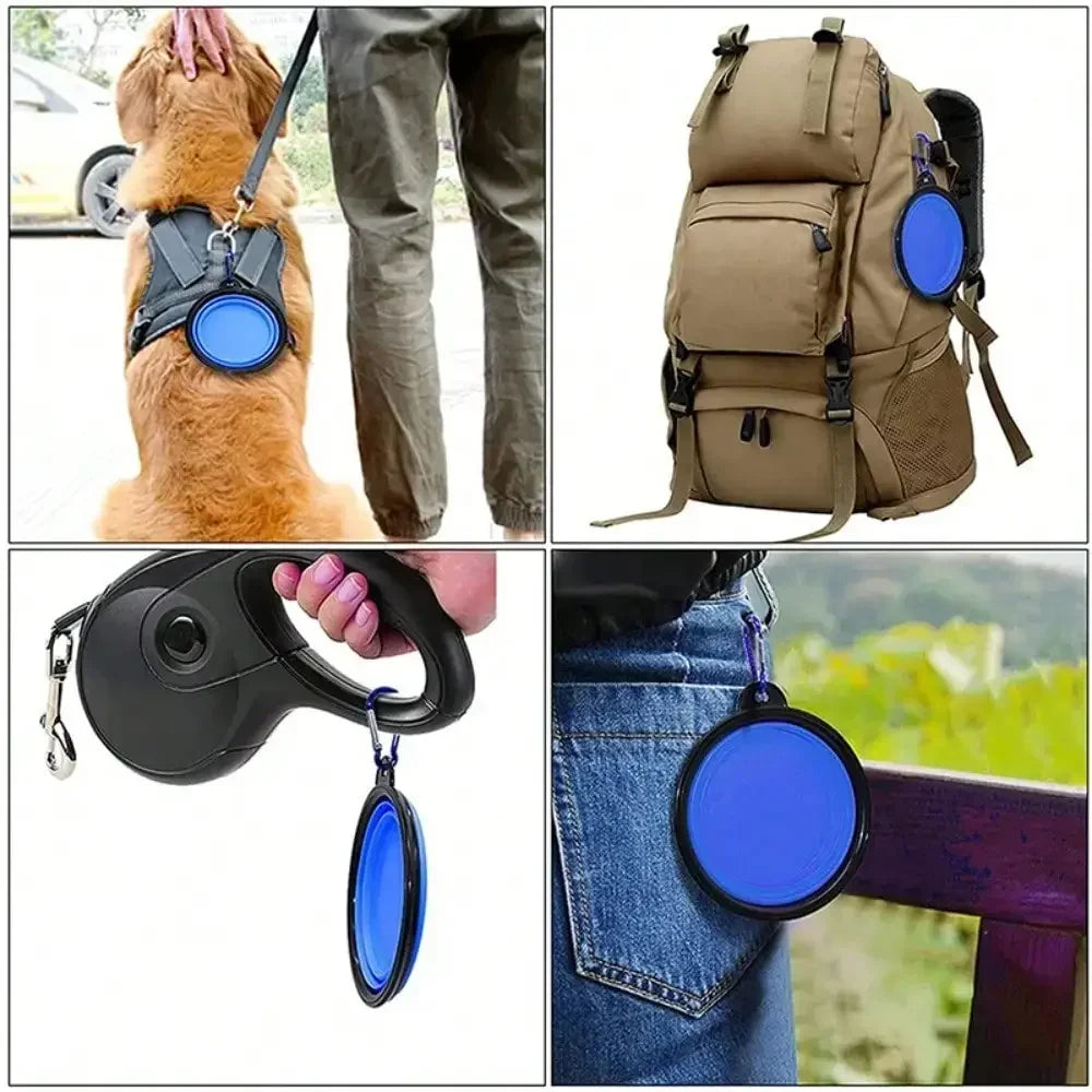 Folding Portable Dog Feeder Bowl 2 In 1 Bottle Carabiner
