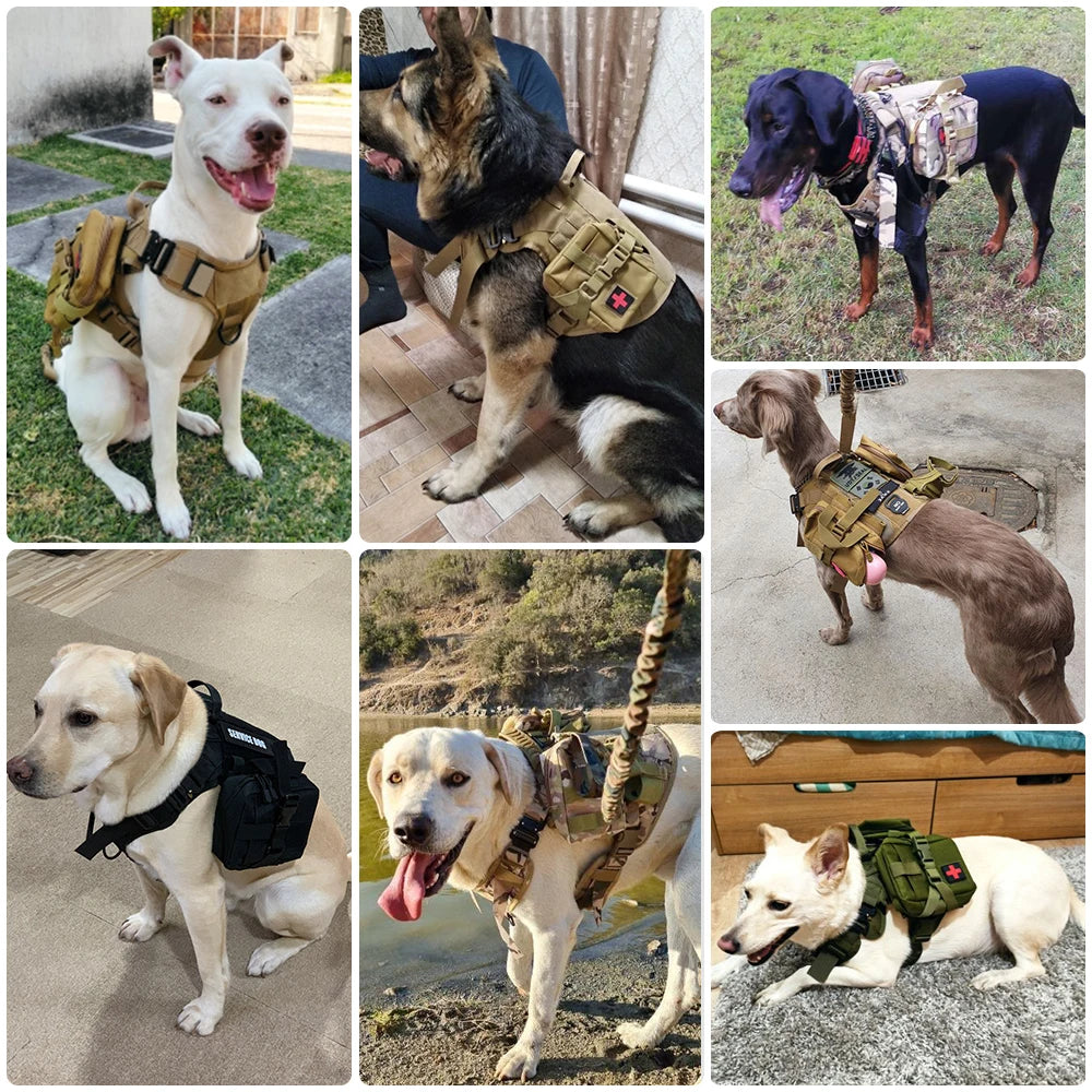 Military Tactical Dog Harness And Leash Set For Large Malinois No Pull