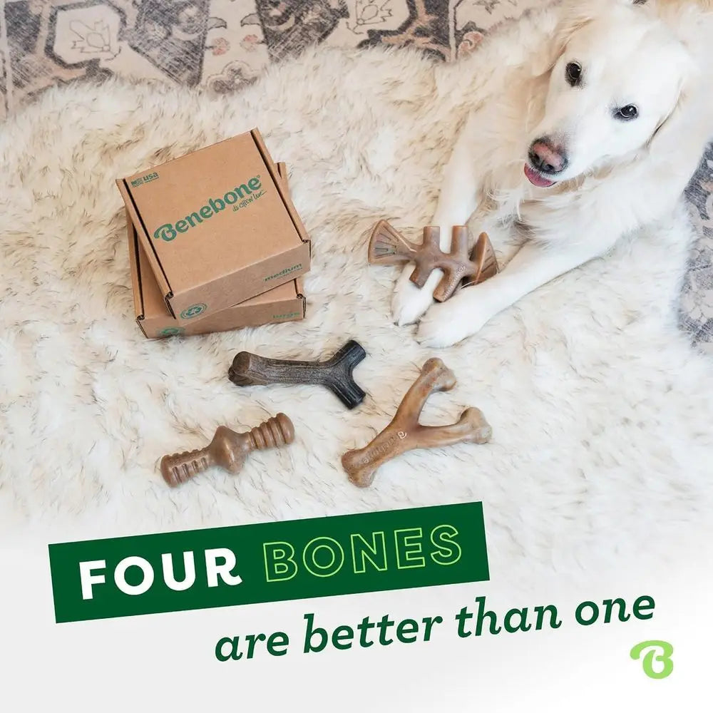 Durable Medium Dog Toys Four Pack Chew Bones Made In USA