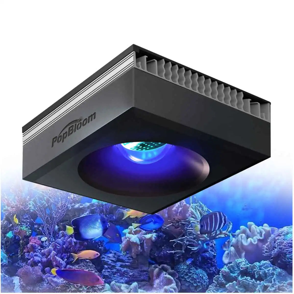 PopBloom RL90 WiFi Reef Aquarium Light 100W Full Spectrum